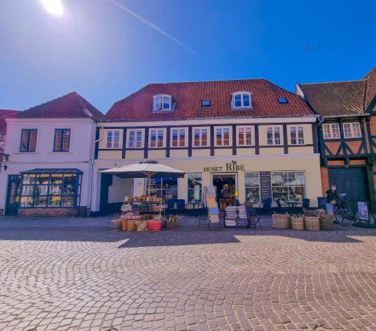Hoshelle Bed and Breakfast Ribe Buitenkant foto